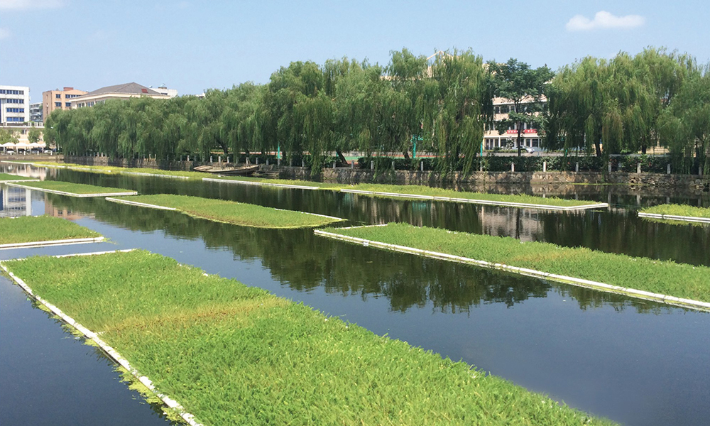 Houhao Lake econological ...